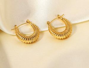 Hoop Earrings